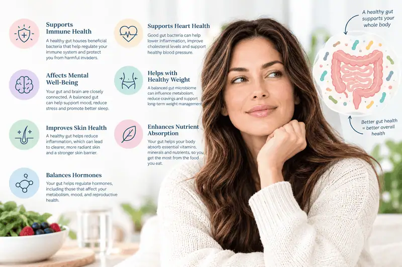 Gut Health Wellness Infographic